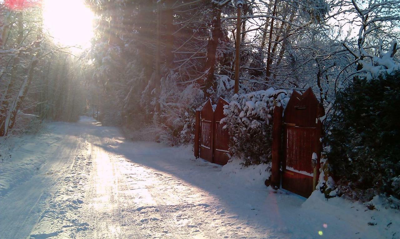 Holzhaus Trollbluemchen Am Wald Und See Neuruppin Exterior foto