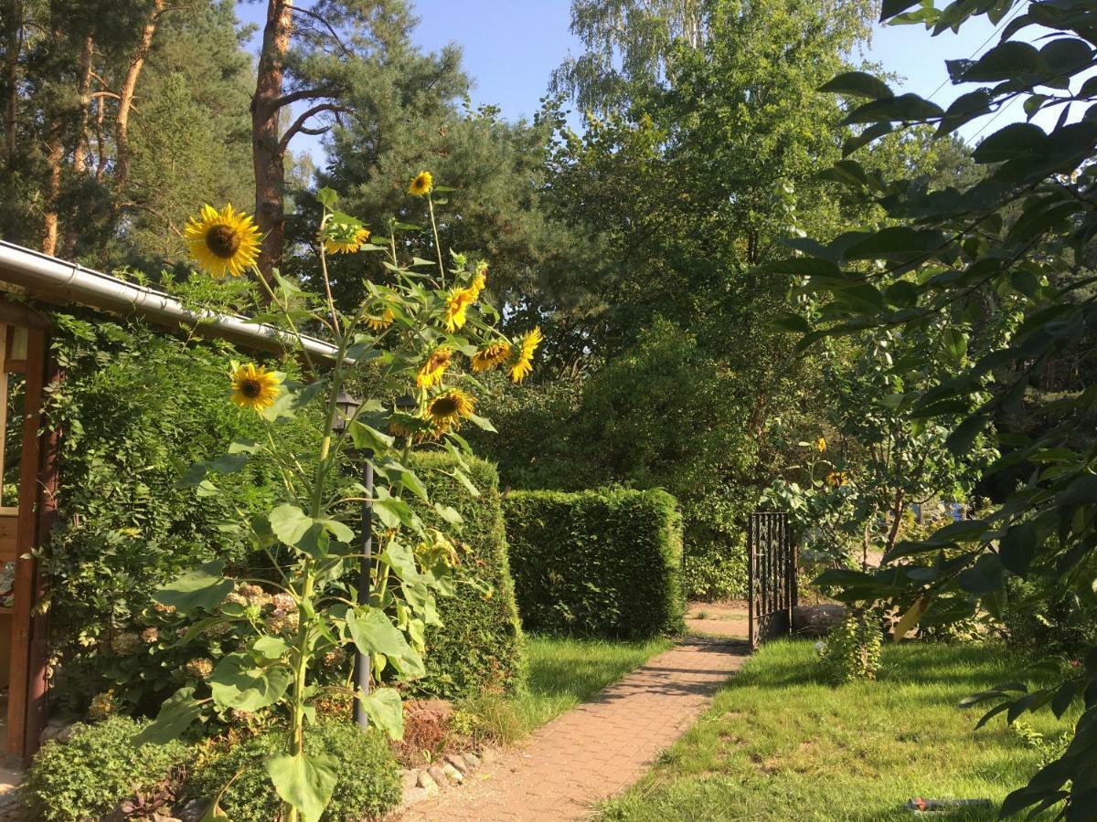 Holzhaus Trollbluemchen Am Wald Und See Neuruppin Exterior foto