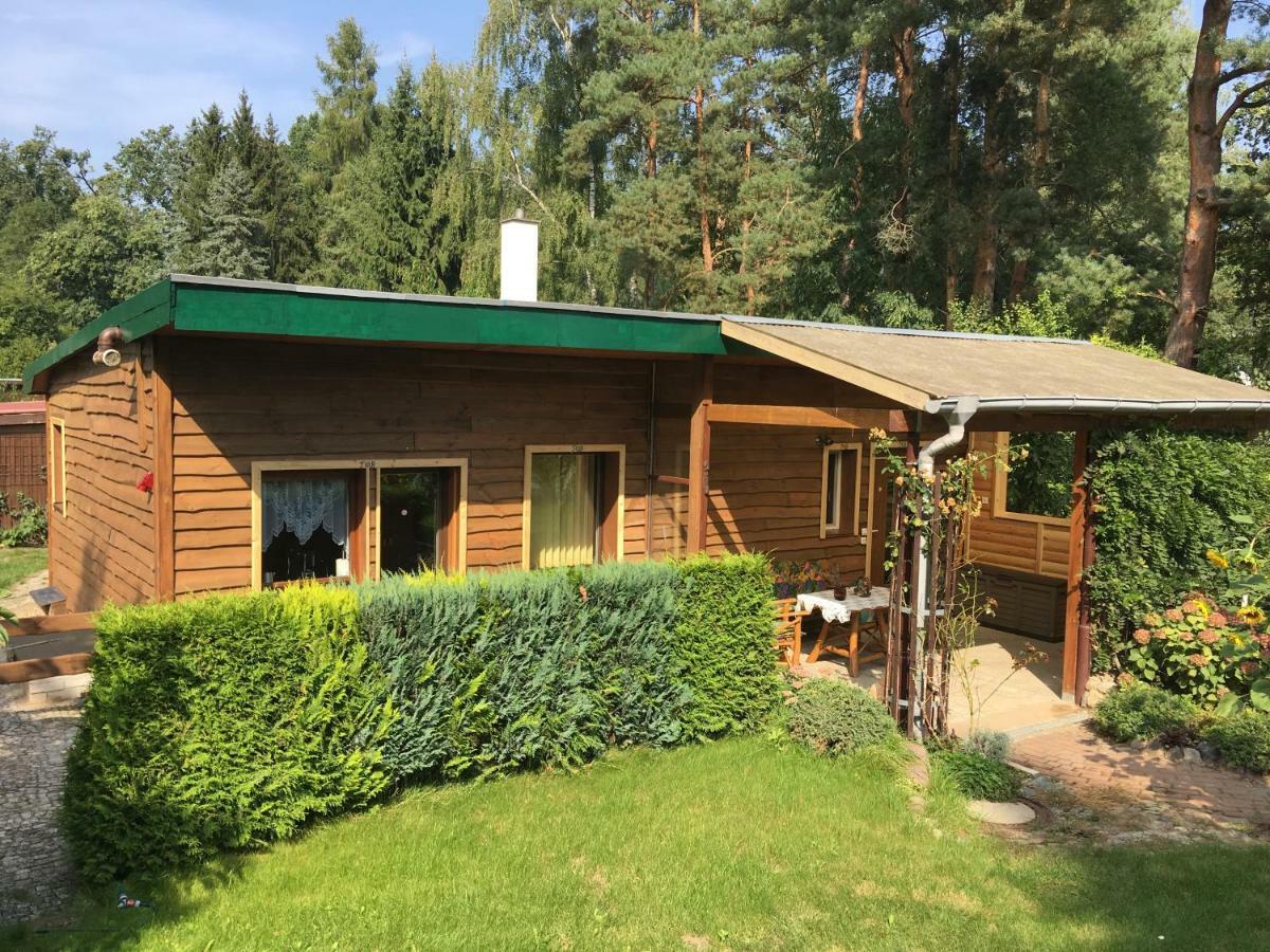 Holzhaus Trollbluemchen Am Wald Und See Neuruppin Exterior foto